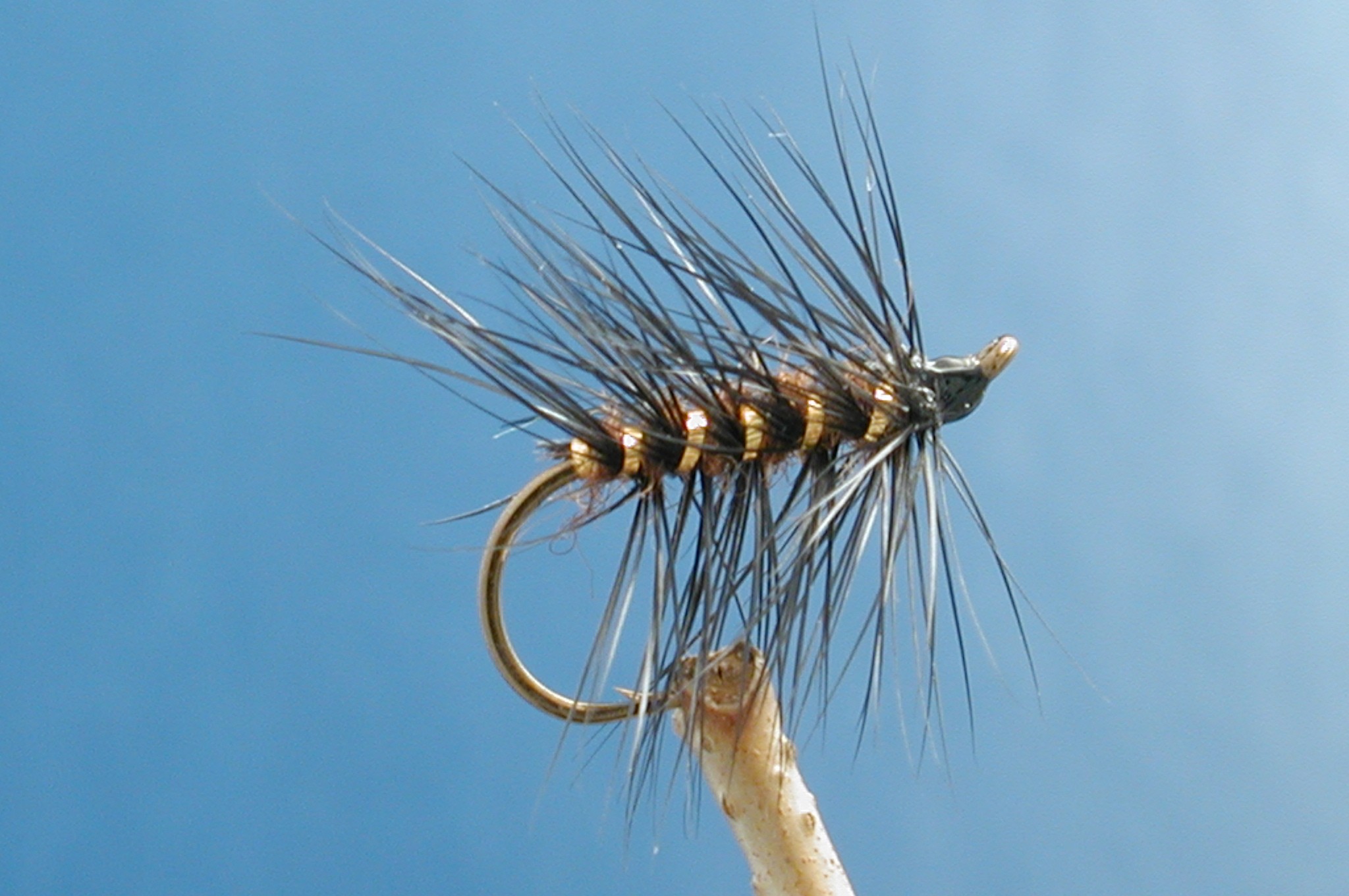 Black Palmer Fly Fishing Flies with Fish4Flies Worldwide